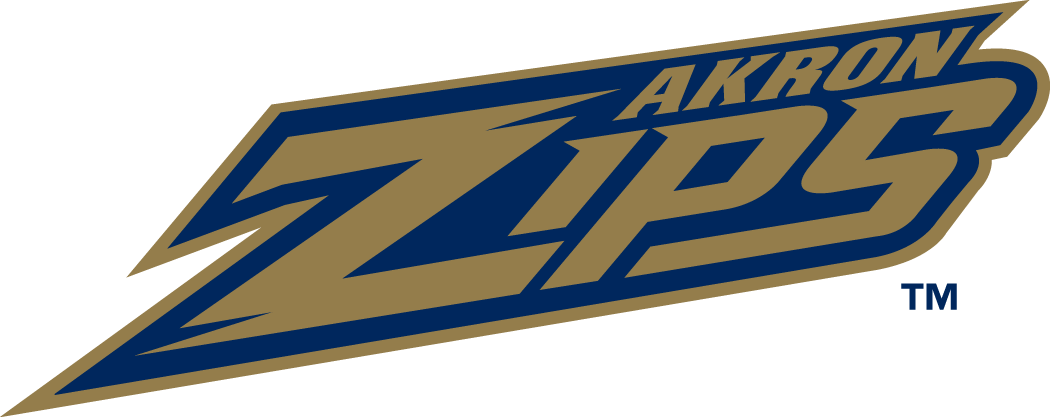Akron Zips 2002-Pres Wordmark Logo diy iron on heat transfer